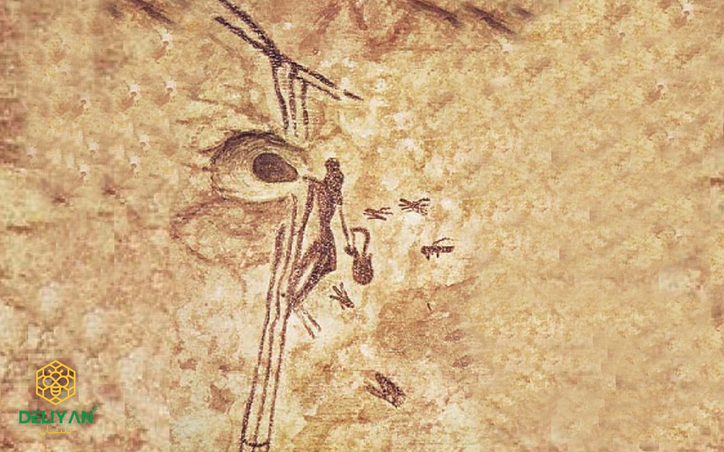 تاریخچه زنبورداری